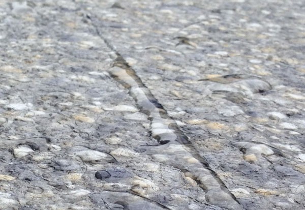 Vinyl membrane thickness can cause water to become 'trapped' on a thick seam.